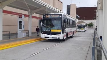 Red Tulum: cuando se termine el pase gratuito, el trasbordo urbano será gratis