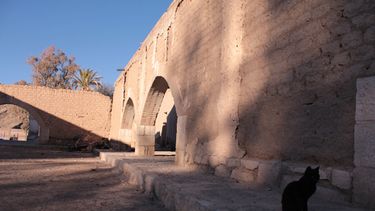 Entre la leyenda y la historia