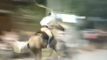 Video: un gaucho agarró a rebencazos a su caballo en plena Cabalgata a la Difunta Correa