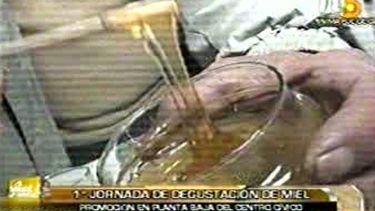 Lanzan la primera jornada de Degustación y Promoción de Miel Sanjuanina
