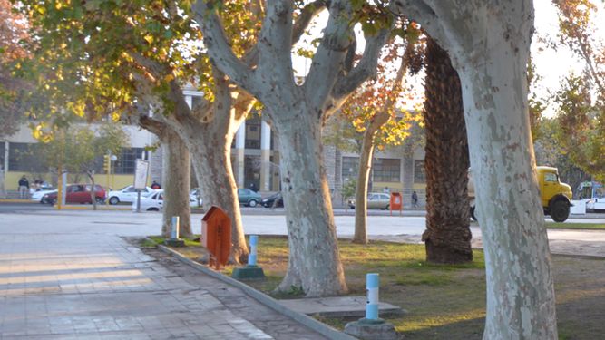 Un martes con máxima de 26º y algunas nubes