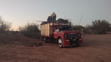 Cazadores con galgos y boleadoras: siguen los operativos para salvar la flora y fauna de San Juan