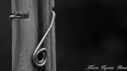 Lo que la lluvia nos dejó...