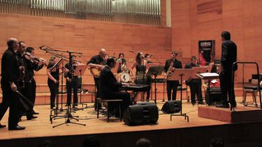 A sala llena, la Camerata volvió a emocionar