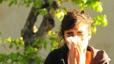 Cada día hay más alérgicos en San Juan ¿Por qué?