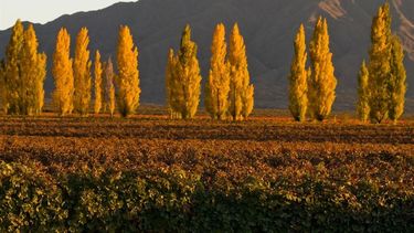 El otoño se hace sentir