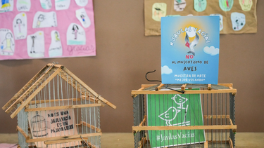 En cinco meses, Ambiente labró 80 actas de infracción en San Juan