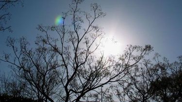 Un viernes con máxima de 28º y nubosidad variable