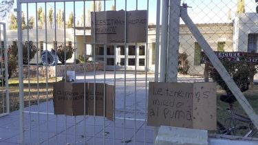 En Iglesia un grupo de padres tiene miedo que sus hijos sean atacados por un puma: que solución encontraron