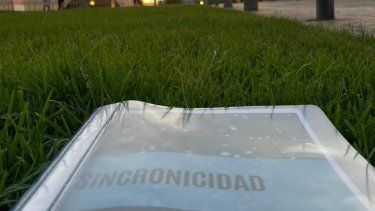 Sincronicidad, la terapia holística creada por un sanjuanino que promueve el equilibrio del ser