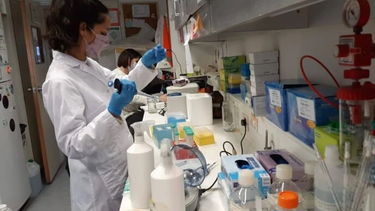 La investigación de CONICET en San Juan, en jaque: peligran una veintena de proyectos y tesis de doctorado