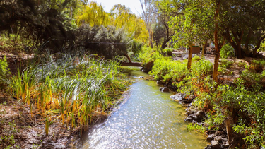Así es el Parque Aventura Cauquenes, el nuevo centro de ecoturismo sanjuanino, ubicado en Jáchal.