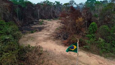 Lula hace una promesa que entusiasma a todo el mundo: Salvar al...