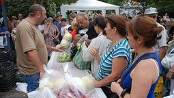 Frutas, verduras y lácteos para todos hoy en Chimbas