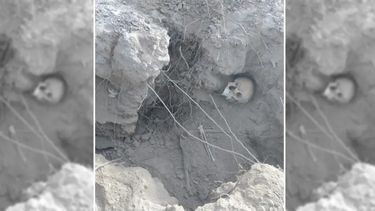 Imagen de los restos encontrados en Guanacache. Gentileza: Telesol Diario.