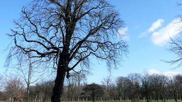 Se viene el calor: máxima de 30º y con pocas nubes