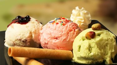 Conocé cómo son los controles de Salud Pública en las heladerías