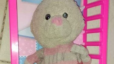 La increíble historia del conejo perdido de Sofía y el hada madrina sanjuanina que lo recuperó