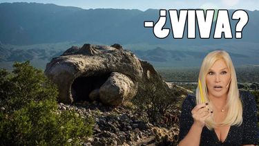 Y no se tardaron nada: ya salieron los memes de la ballena sanjuanina