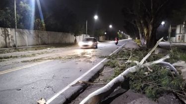 Tal como estaba pronosticado, llegó el viento Sur a San Juan