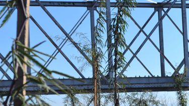 Nueva cartelería para el Paisaje Protegido Tres Puentes