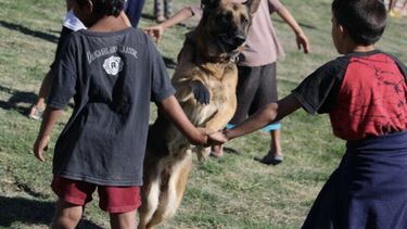 Los canes de la Policía festejaron su día con los pequeños de Villa del Sur