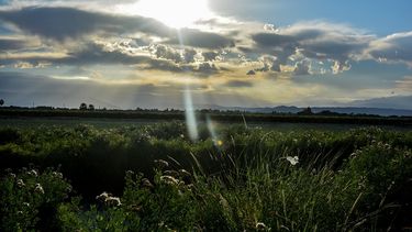 La increíble postal sanjuanina que es furor en las redes