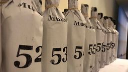 Tres malbec sanjuaninos la rompieron en una competencia federal