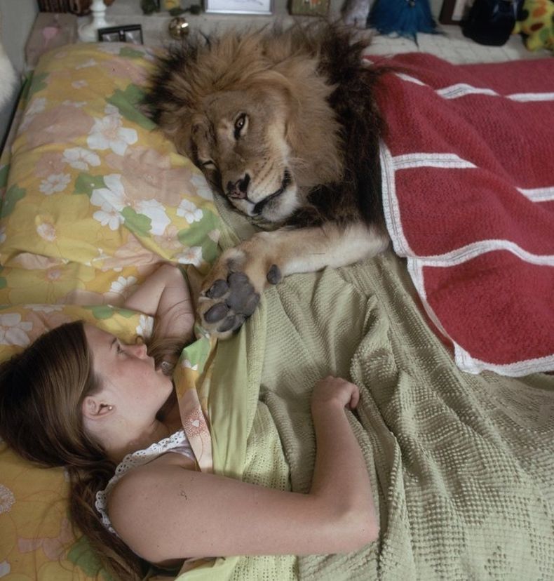 La actriz de Hollywood que de niña convivió con 71 leones: imágenes  impactantes