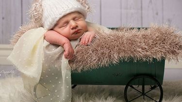 Las sesiones de fotos con recién nacidos que son furor en San Juan