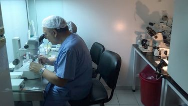 Sanatorio Argentino: festejan con un nuevo centro de fertilización asistida