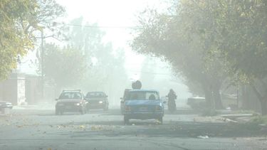 Cortes de luz y árboles caídos por el viento sur