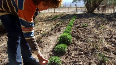 Hoy es el día internacional de la mujer rural