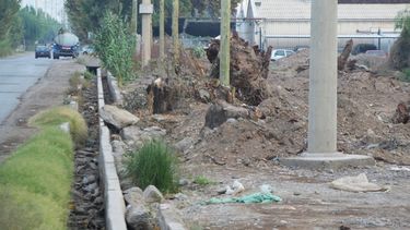 Calle 5: Avanza el ensanche del tramo más conflictivo