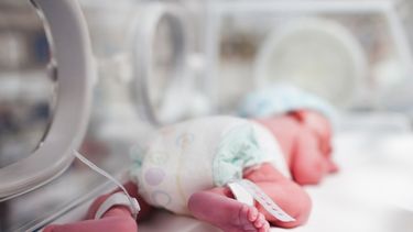 Abandonaron a una bebé internada en el Hospital Rawson