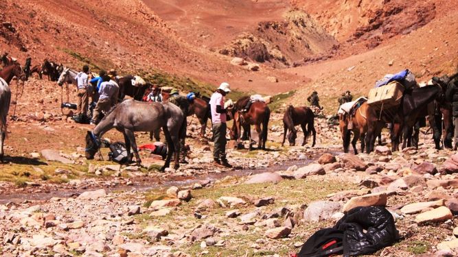 Luego de una dura jornada, día de descanso