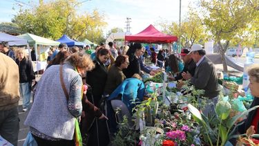 Expo “Frutas y Verduras” pasó por Rivadavia y fue un éxito