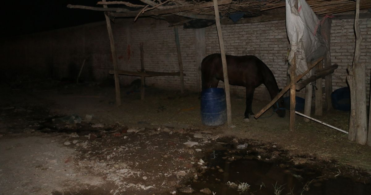 El misterio del duende de Río Mayo - El Chubut