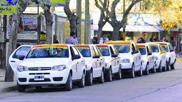 ¡Atenti, tacheros! ¿te reempadronaste?, entregarán más de 100 licencias