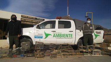 Sanjuaninos rescataron una gran cantidad de aves que vivían en pequeñas jaulas