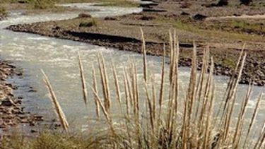 Barrick asegura que nunca llegó el cianuro al agua del río