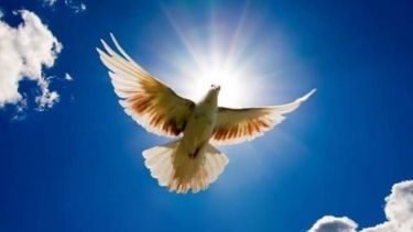 Quiénes fallecieron el 20 de mayo en San Juan