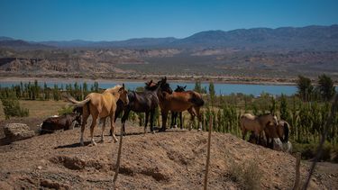 La Dirección de Recursos Energéticos acaba de llamar a licitación pública para construir la línea de media tensión del&nbsp; perilago del dique Cuesta del Viento.