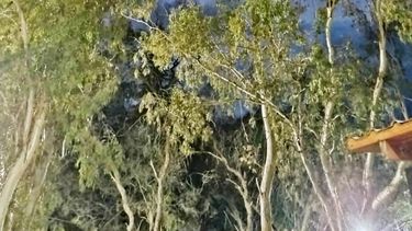 Mirá el escalofriante momento que vivió un sanjuanino en Jáchal, ¿es cosa de brujas?