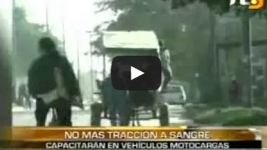 Una capacitación para erradicar la tracción a sangre