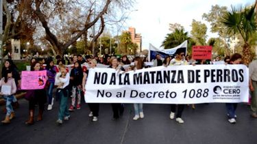 Sanjuaninos marcharon contra el maltrato animal