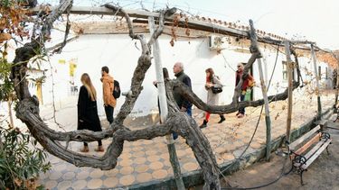 Mirá el recorrido cultural con el que San Juan recibe a los turistas