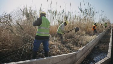 ¿Qué es la monda y cómo ayuda a combatir la sequía en San Juan?