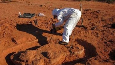 Buscan proteger el nuevo paraíso de los dinosaurios