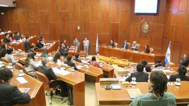 El mini Senado vuelve a debatir en la Legislatura provincial